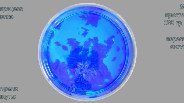 Как растут кристаллы (на примере медного купороса). смотреть онлайн