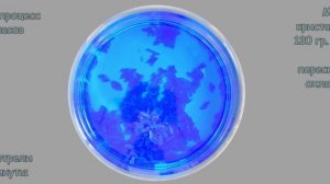 Как растут кристаллы (на примере медного купороса).