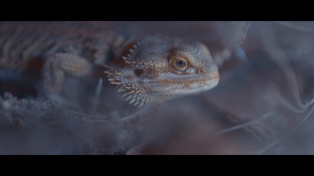 Моя Вселенная Благодарю