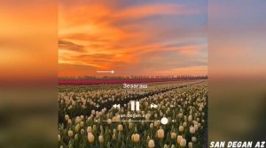 Увайс Шарипов ОЧЕНЬ КРАСИВАЯ ПЕСНЯ🌹Зезагаш🌹