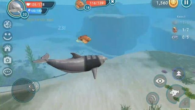 Wild Ocean