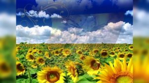 Летел голубь (Е.Фролова)