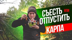 СЪЕСТЬ или ОТПУСТИТЬ ДИКОГО КАРПА? Мысли о КАРПФИШИНГЕ на РЫБАЛКЕ! А что ВЫБИРАЕШЬ ТЫ?