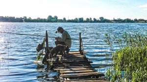 РЫБАЛКА НА ПОПЛАВОК В КРАСИВЕЙШЕМ МЕСТЕ. ПРИКОРМИЛ РЫБКУ ВОЗЛЕ ТРАВКИ. СЕЛИГЕР ЧАСТЬ 2 из 4.