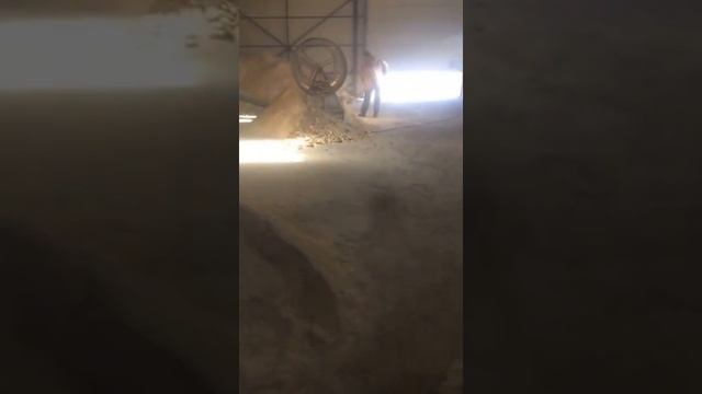 Линия по производству брикетов PINI&KAY (евродров). смотреть онлайн