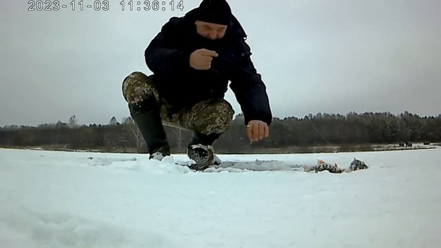 Красавчики Окуня на удочку и балансир !!! смотреть онлайн