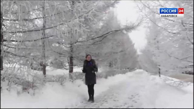 Настоящий ажиотаж вызвала в соцсетях кристаллическая изморозь на деревьях в Хабаровске