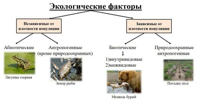 Тема 34. Механизмы сохранения и поддержания свойств и структуры популяций