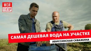 АБИССИНКА — МЫ СДЕЛАЛИ ЭТО! | САМАЯ ДЕШЕВАЯ ВОДА НА УЧАСТКЕ | РАЗВИВАЕМ ГЕКТАР | ОТ СОХИ ДО СОХИ