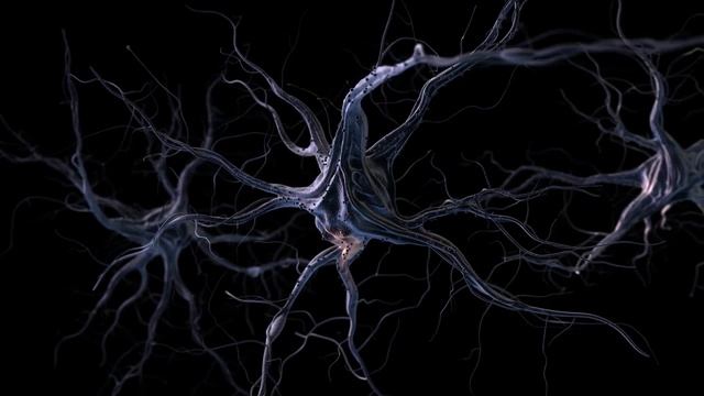 Разгадка Эффекта Дежавю. Почему Возникает Неловкое Чувство При Дежавю? смотреть онлайн