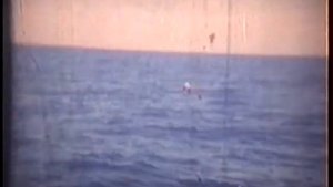 Тунобаза Светлый Луч Холдинговой компании Дальморепродукт в Индийском океане