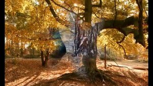 "Глухариная заря"  Сябры
