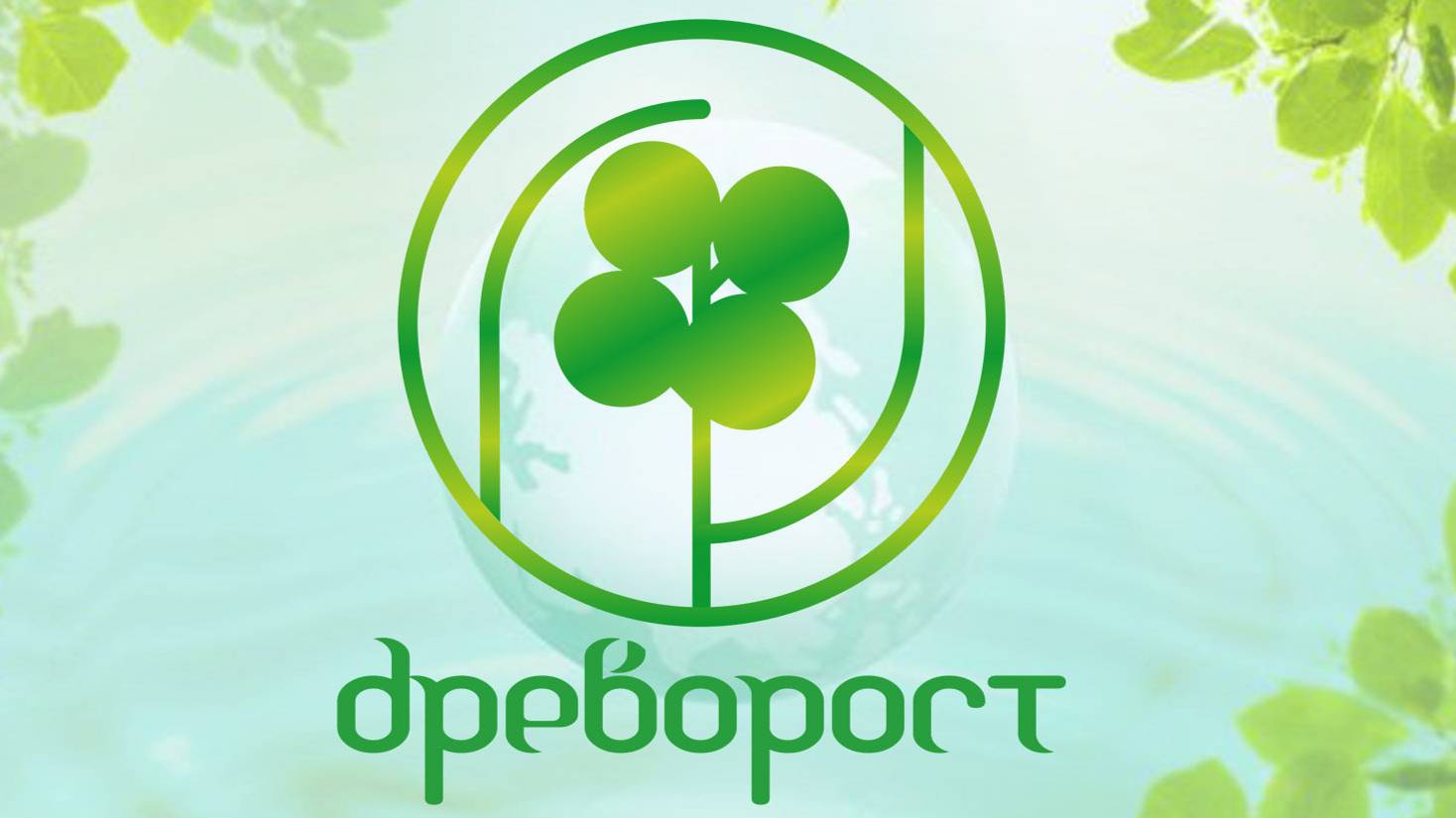 Посадка дубов по технологии "Древорост" в г. Волжском.