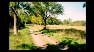 Дмитро Гнатюк Ясени