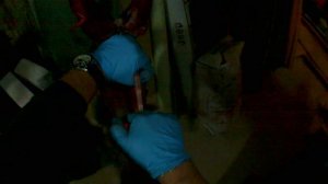 Как снять хвост с лисы, куницы и тд .