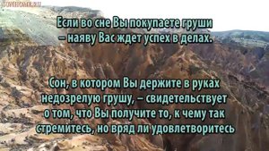 К чему снится Груша сонник, толкование сна