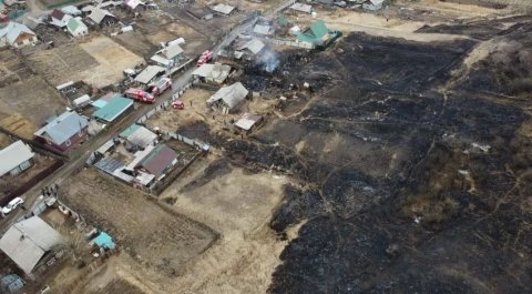 Выпавшие из мангала угли стали причиной крупного пожара в прибрежной зоне Приморья