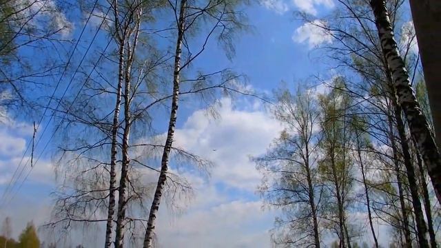 Международный Прадо-Клуб - Самолёт. Палатки. Весна. Збс ) смотреть онлайн