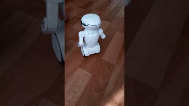 Падающий MacroBot, робот упал, толкаем робота, дроид падает, обзор MacroBot, Macrobot Overview, Rob
