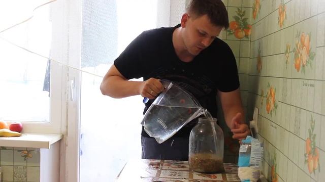 КВАС из ОВСА! Как приготовить овсяный КВАС?! смотреть онлайн