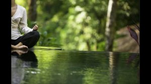 Медитация  Единство со всей жизнью. Э.Толле