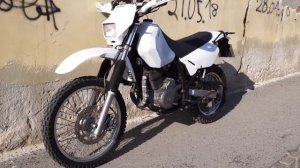 Suzuki DR 650 | Walkaround | Soundchek | GSXR Exhaust