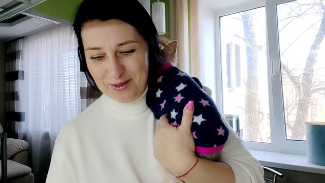 12 марта 2022 г. Мой канал хотели взломать🤦 смотреть онлайн