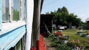Володарка. Топчихинский р-н. Алтайский край. Лето 2020