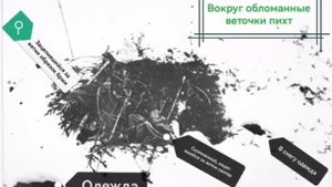 Настил в овраге