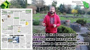 ВАШ ЛУК НИКОГДА (!) НЕ БУДЕТ СТРЕЛКОВАТЬСЯ! Только качественная репка без стрелок. Простой способ.