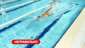 Эти 4 ОШИБКИ НОВИЧКОВ мешают плавать легко и долго