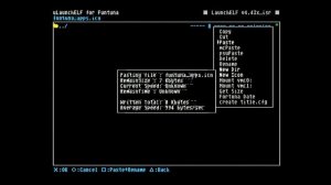 Как скопировать Funtuna с карты на карту.