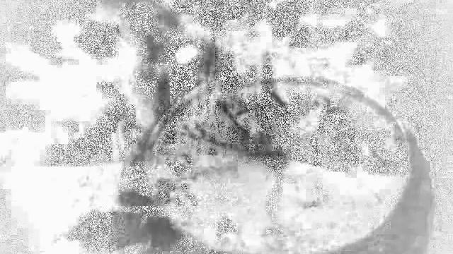 Cynthia Witthoft - Crazy Duck Hunter смотреть онлайн