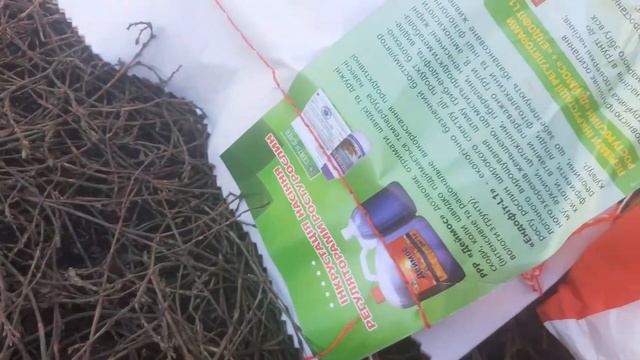 хотин от агро ван 2021 семена смотреть онлайн