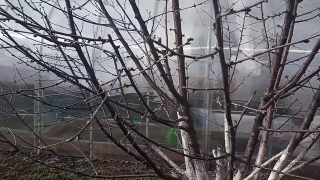 Вторая обработка сада весной. Не пропустите!!! смотреть онлайн