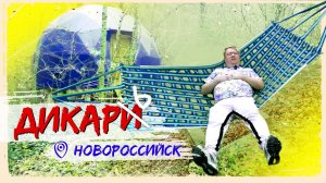 Чем заняться в Новороссийске?  Обзор глэмпинга в лесу, прогулка по улиточной ферме и отдых в сауне
