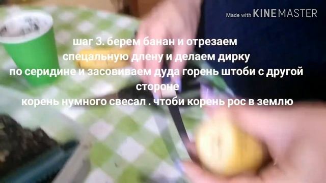 Как легко посадить алое смотреть онлайн