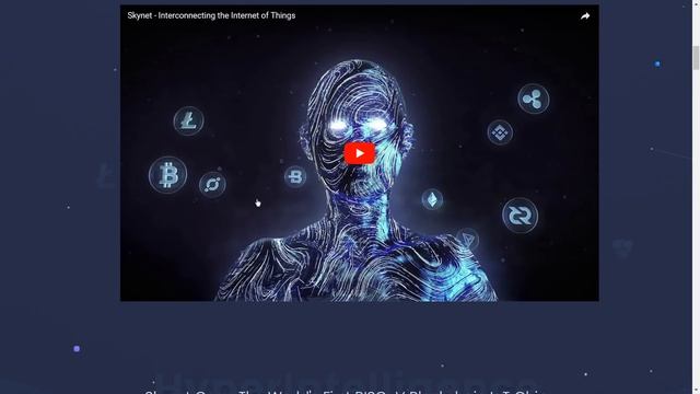Обзор проекта Skynet . (author AlexDuma)