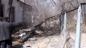Как мы пилили деревья. Прикольное видео (деревья ломают забор). Присутствует мат +18