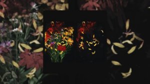 Дождливый гражданин - В меду августа (Официальная премьера трека)