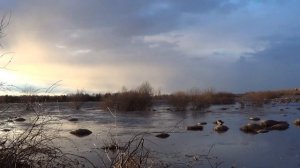 Весенняя охота на селезня с подсадной уткой.