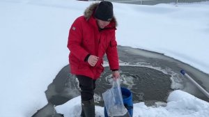 Запускаю верховку в свой пруд для корма форели