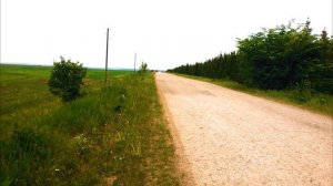 Honda cb 400 sf на 180 км/ч со стороны  разгон