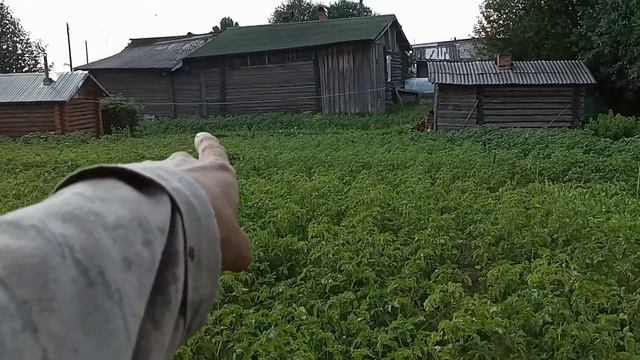 Жизнь в Деревне. Первый урожай с огорода.