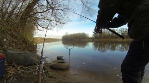 Рыбалка в Коломне.Рыболовные соревнования от первого лица