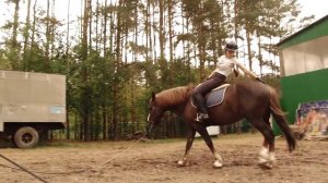 Упражнения, направленнык на улучшение посадки всадника | Дивные кони