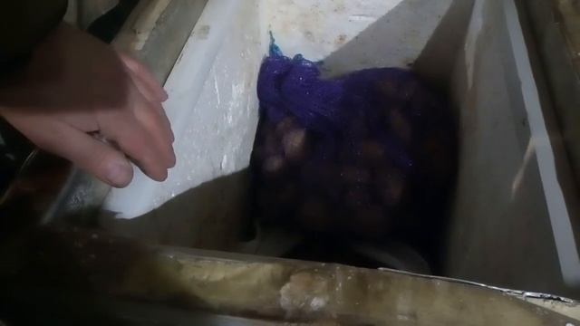 Наружный погреб для овощей смотреть онлайн