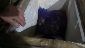 Наружный погреб для овощей