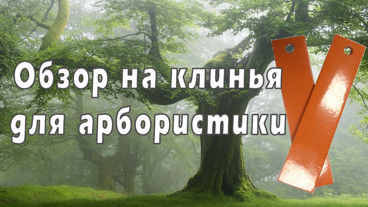 Обзор на клинья для арбористики