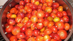 Варенье из крупного шиповника